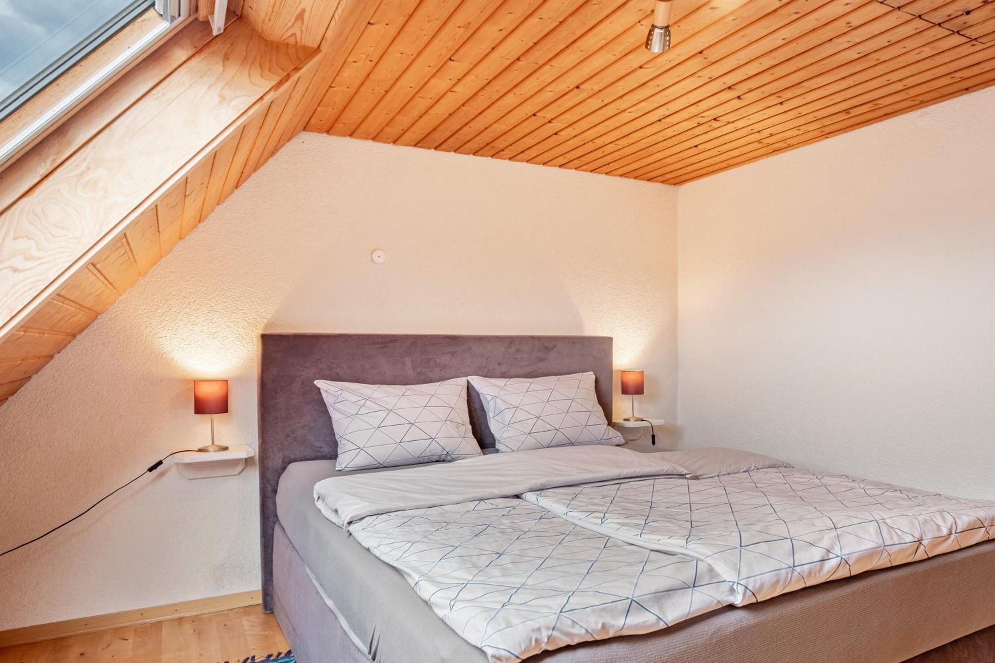 Appartement Lehen ไฟรบวร์กอิมไบรส์เกา ภายนอก รูปภาพ