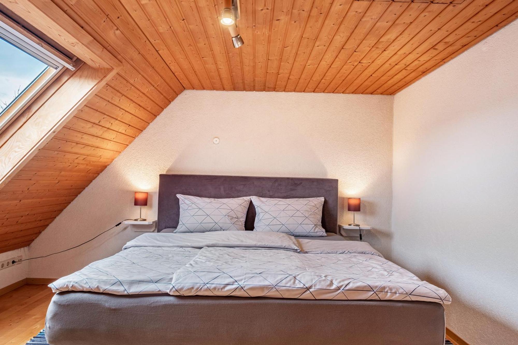Appartement Lehen ไฟรบวร์กอิมไบรส์เกา ภายนอก รูปภาพ